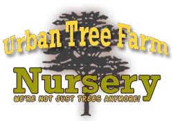 Company logo of Urban Tree Farm Nursery