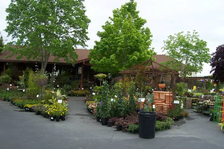 Evergreen Garden Center Inc.