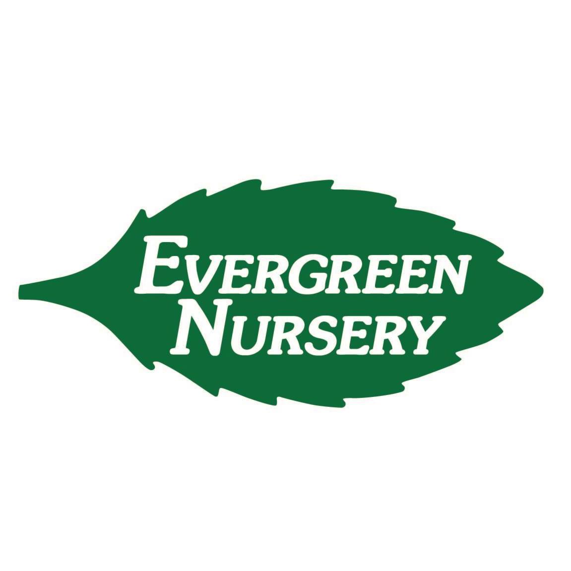 Company logo of Evergreen Nursery