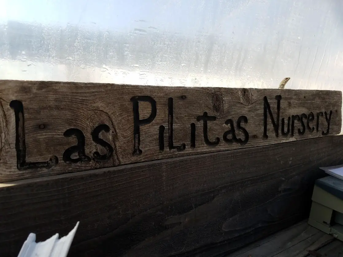 Business logo of Las Pilitas Nursery
