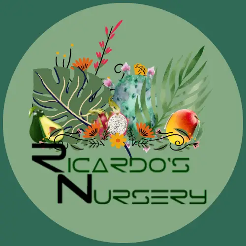 Company logo of Ricardo's Nursery