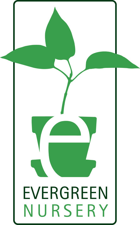 Company logo of Evergreen Nursery - The Bay's Friendly Garden Experts
