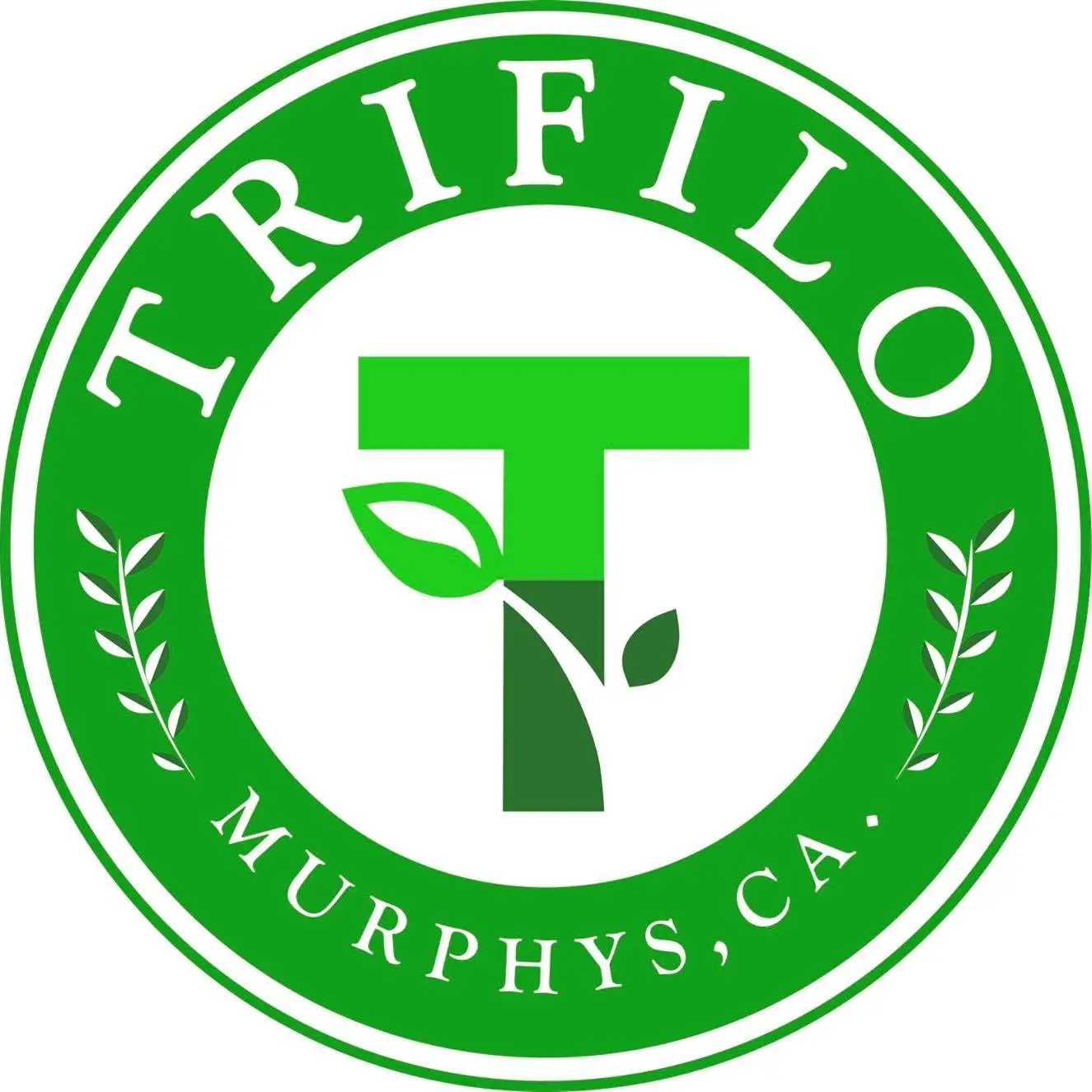 Company logo of Trifilo Garden Center