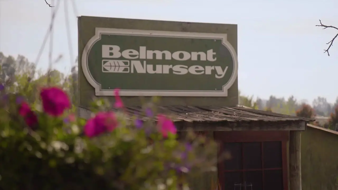 Belmont Nursery