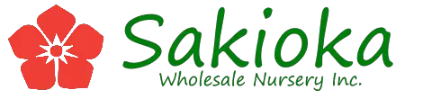 Company logo of Sakioka Wholesale Nursery