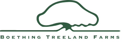 Company logo of Boething Treeland Farms, Inc.
