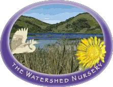Company logo of The Watershed Nursery