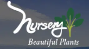 Company logo of Nursery Beautiful Plants