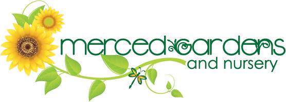 Company logo of Merced Gardens and Nursery