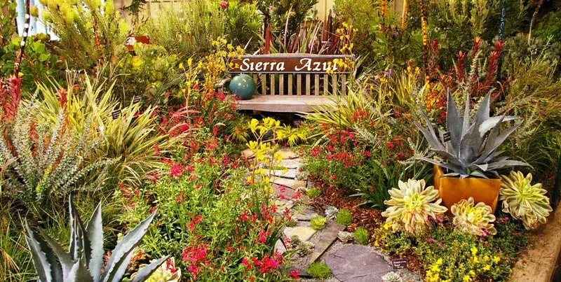 Sierra Azul Nursery-Garden
