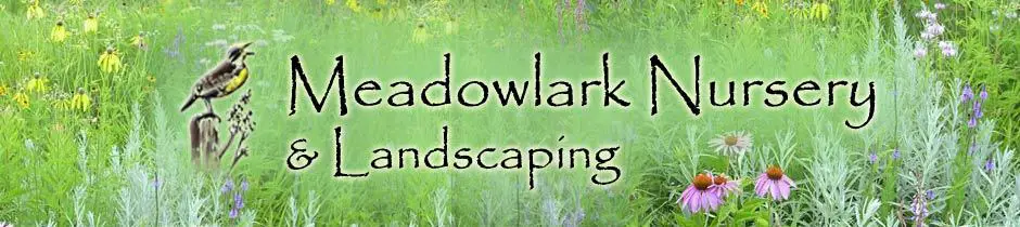 Company logo of Meadowlark Nursery & Landscaping