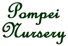 Company logo of Pompei Nursery