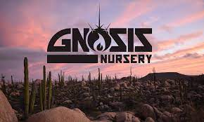 Company logo of Gnosis Nursery