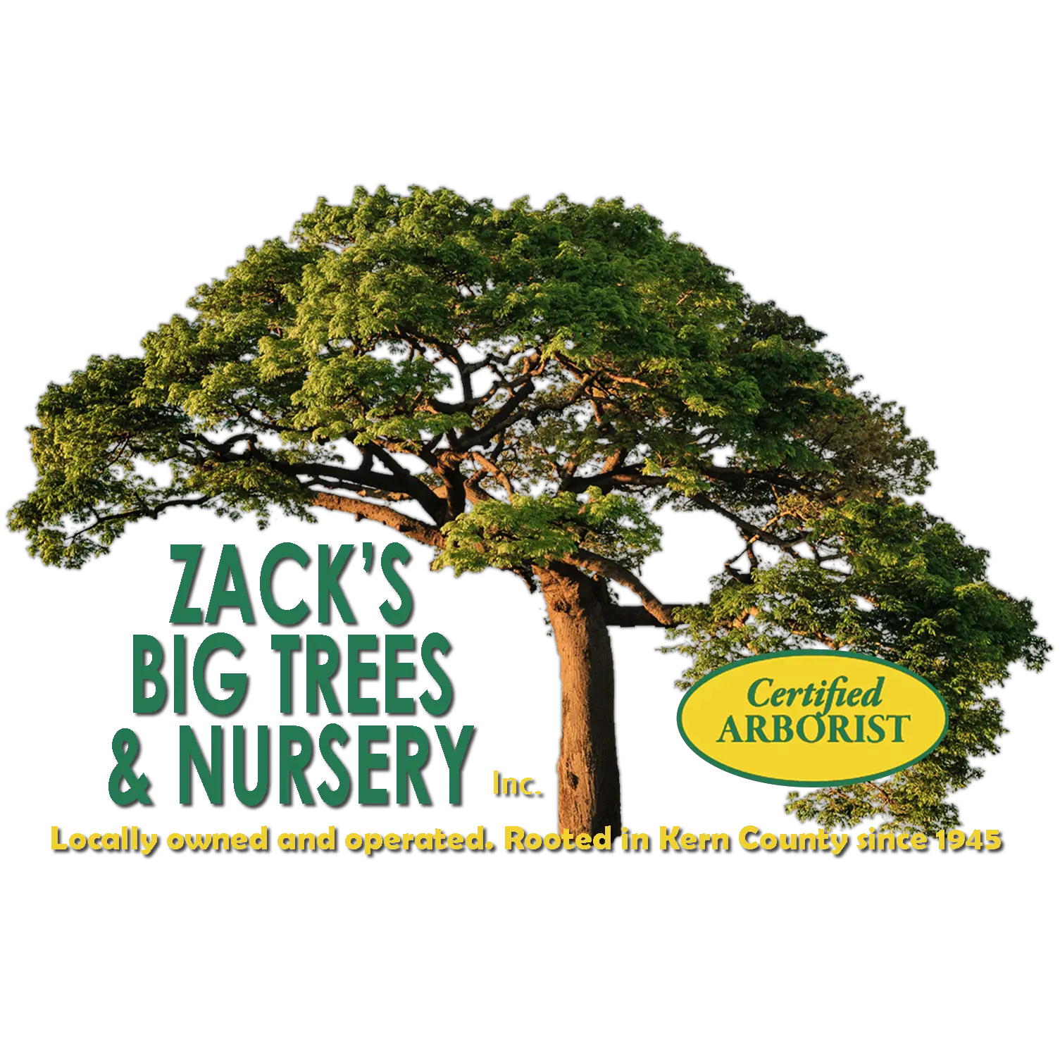 Company logo of Zack's Big Tree Nursery