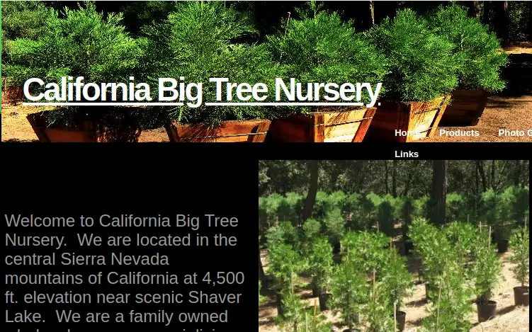 Company logo of California Big Tree Nursery