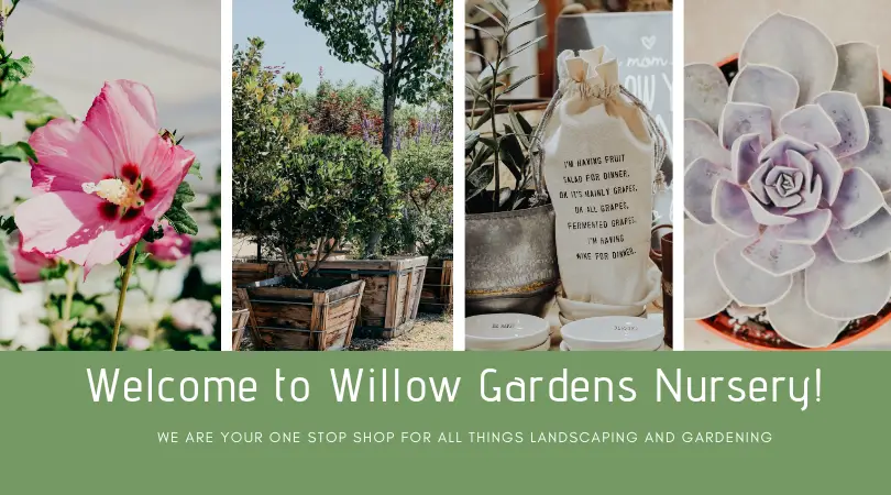 Willow Gardens Nursery
