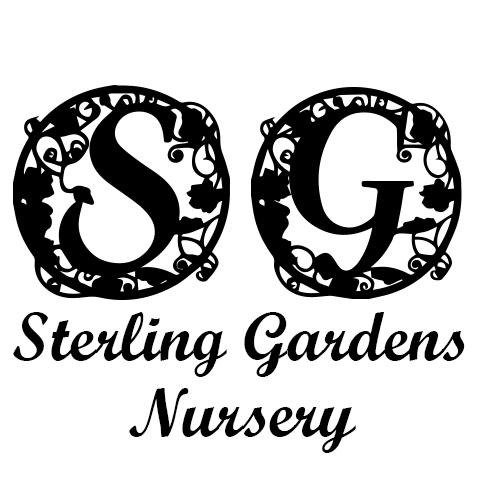 Company logo of Sterling Gardens Nursery