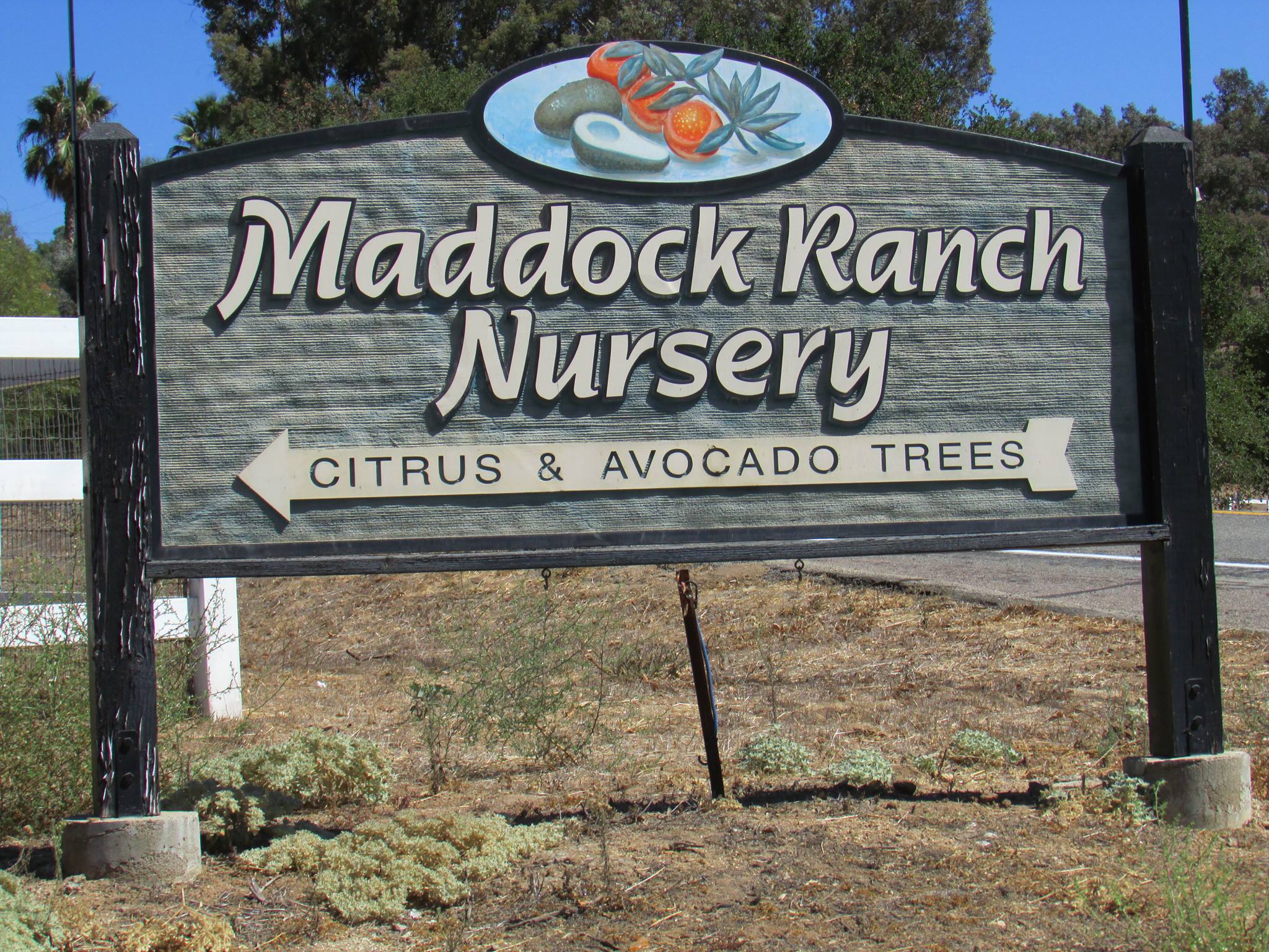Company logo of Maddock Ranch Nursery