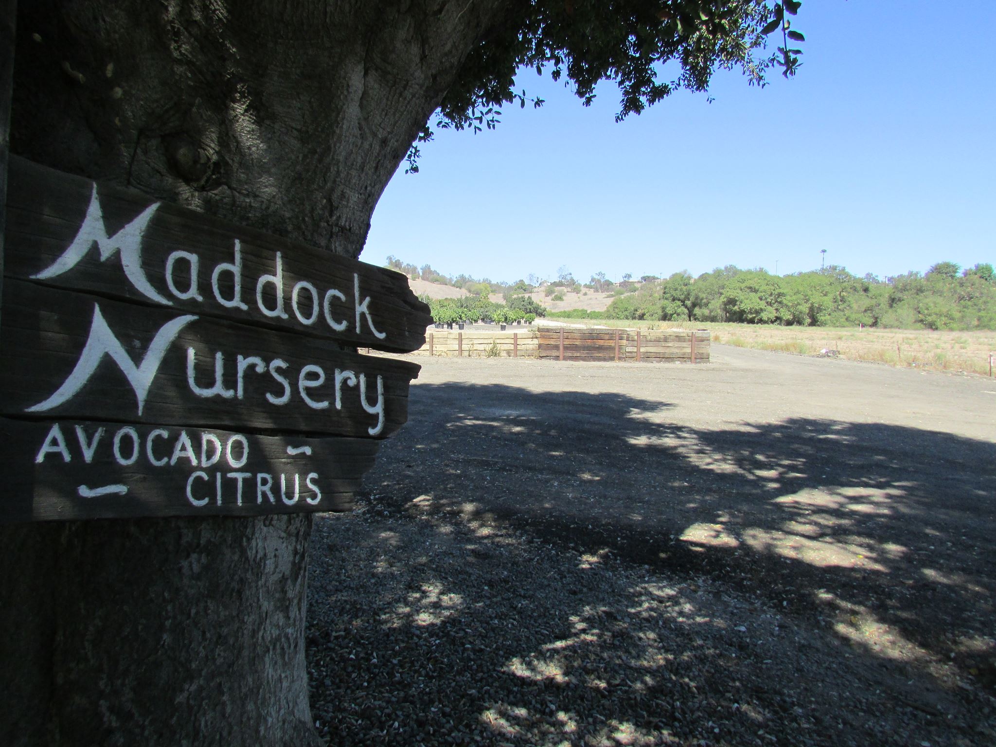 Maddock Ranch Nursery