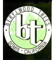 Company logo of Berylwood Tree Farm