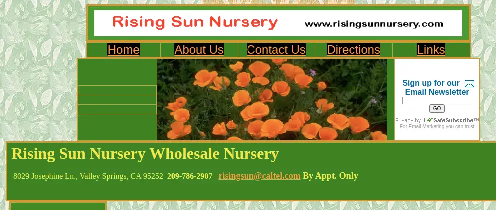 Company logo of Rising Sun Nursery Wholesale