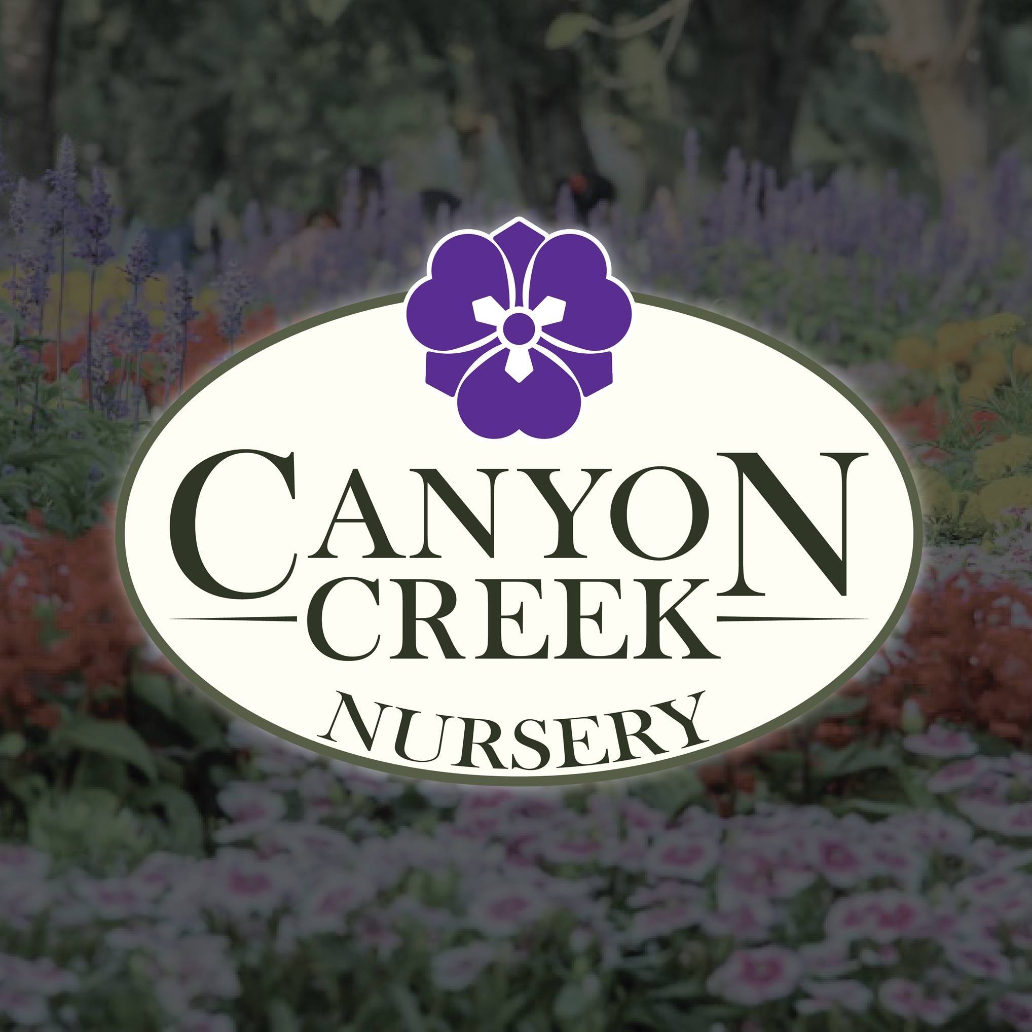 Company logo of Canyon Creek Nursery