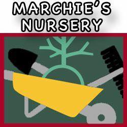 Company logo of Marchie's Nursery