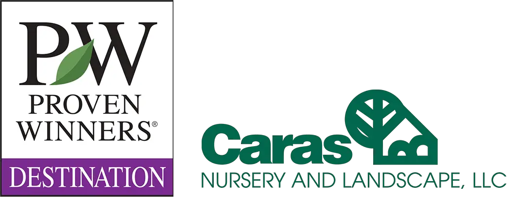 Company logo of Caras Nursery and Landscape