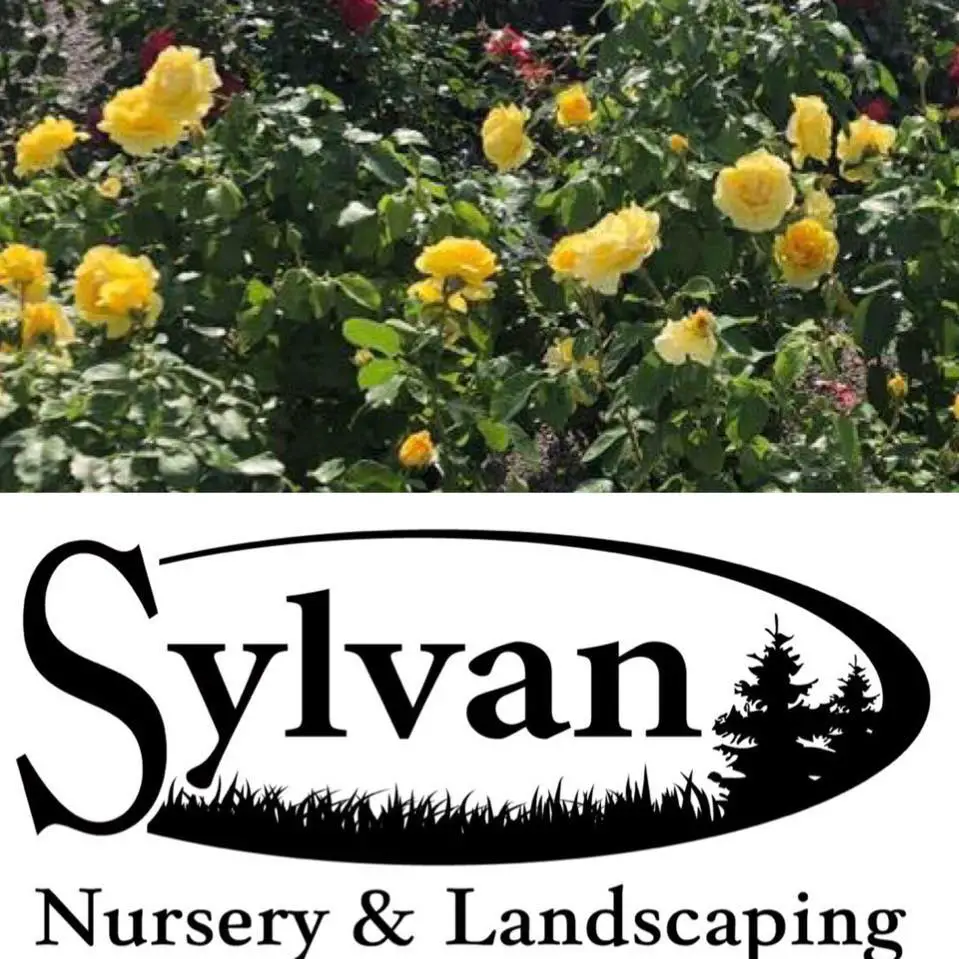 Company logo of Sylvan Nursery & Landscaping