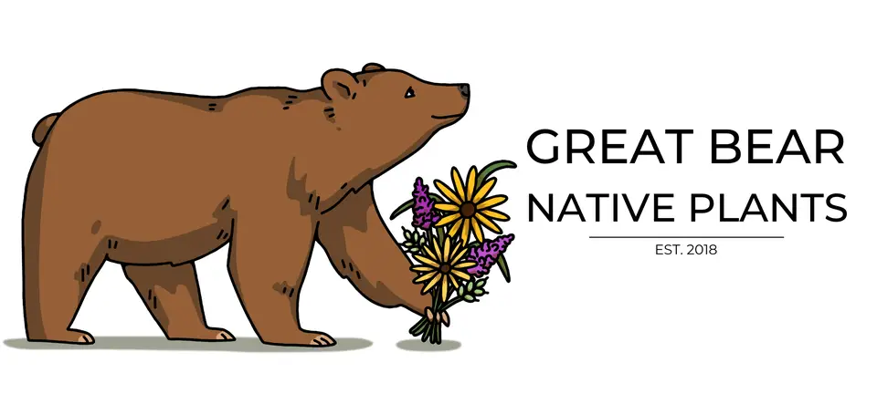 Company logo of Great Bear Native Plants, LLC