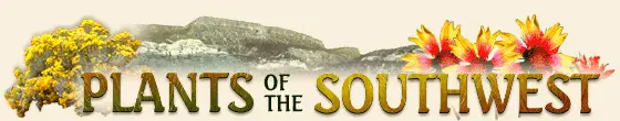 Company logo of Plants of the Southwest