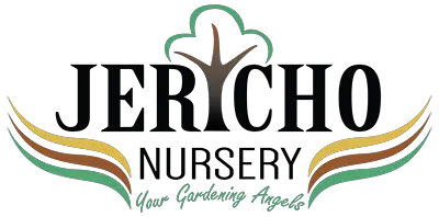 Company logo of Jericho Nursery