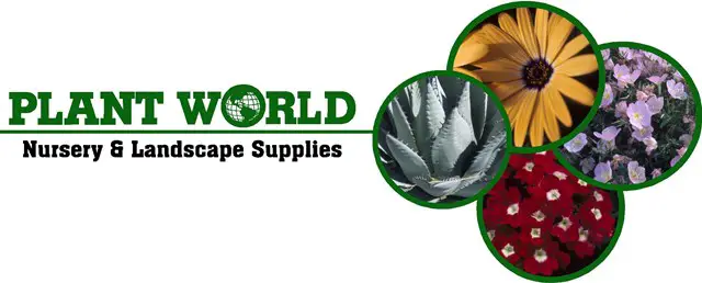 Company logo of Plant World