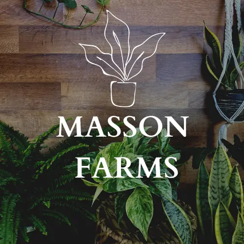 Company logo of Masson Farms of New Mexico Inc