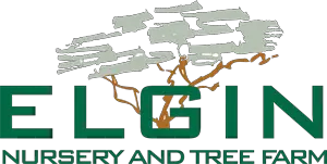 Company logo of Elgin Nursery & Tree Farms