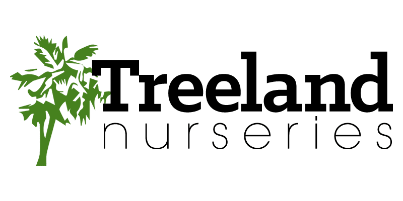 Company logo of Treeland Nurseries, Inc.