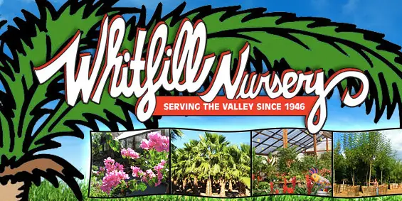 Company logo of Whitfill Nurseries Inc