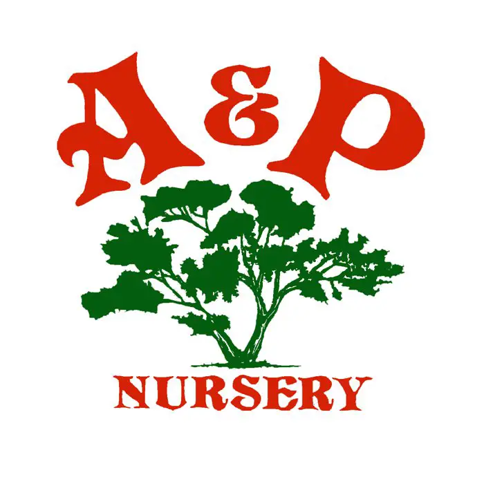 Company logo of A & P Nursery