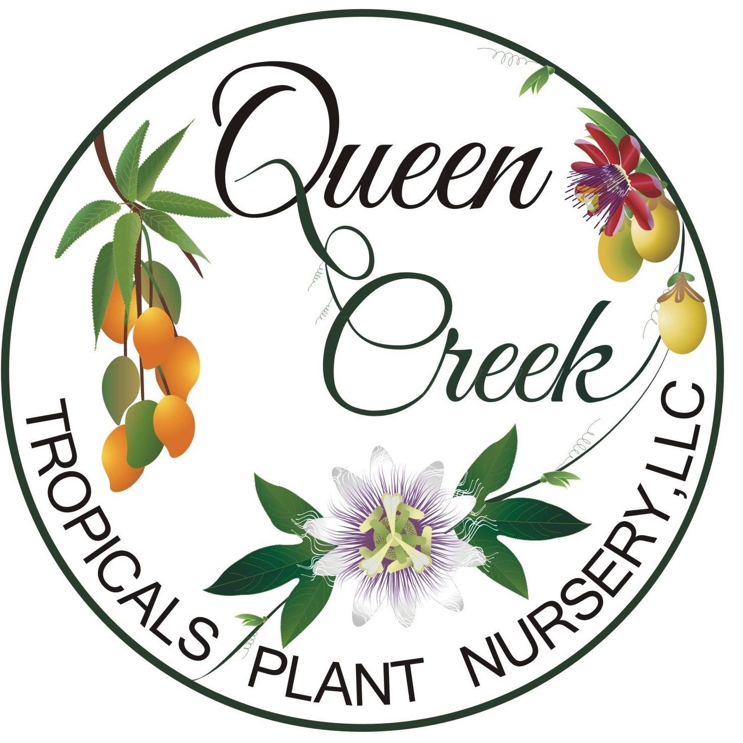 Company logo of Queen Creek Tropicals Plant Nursery, LLC