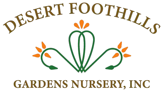 Company logo of Desert Foothills Gardens Nursery Inc.
