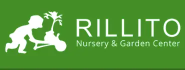 Company logo of Rillito Nursery & Garden Center