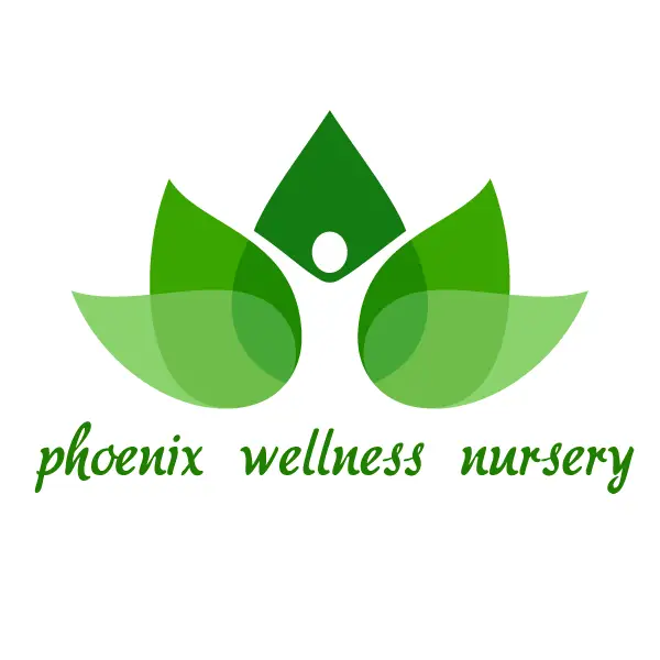 Company logo of Phoenix Wellness Nursery