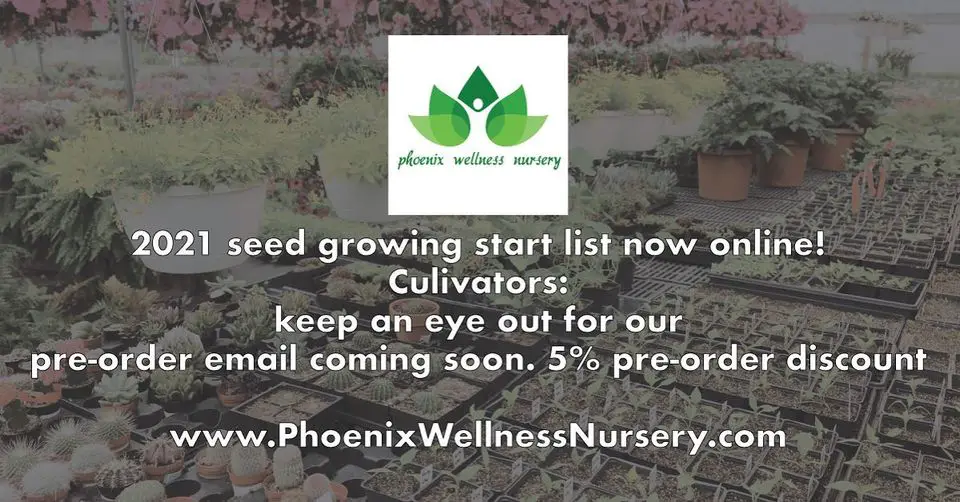 Phoenix Wellness Nursery