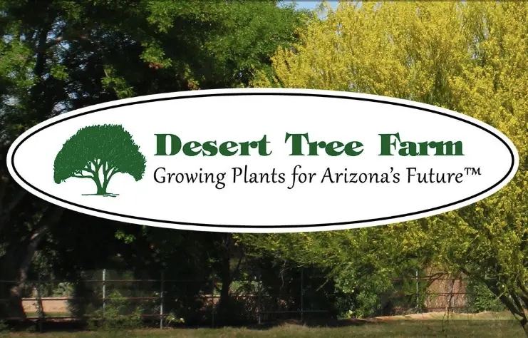 Company logo of Desert Tree Farm