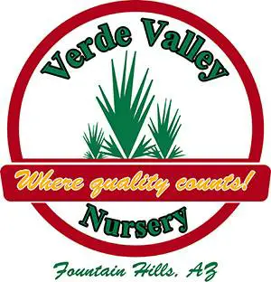 Company logo of Verde Valley Nursery