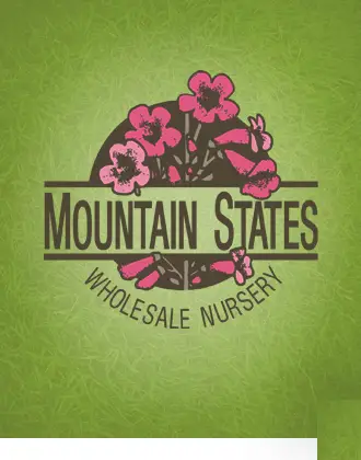 Company logo of Mountain States Wholesale Nursery