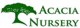 Company logo of Acacia Nursery