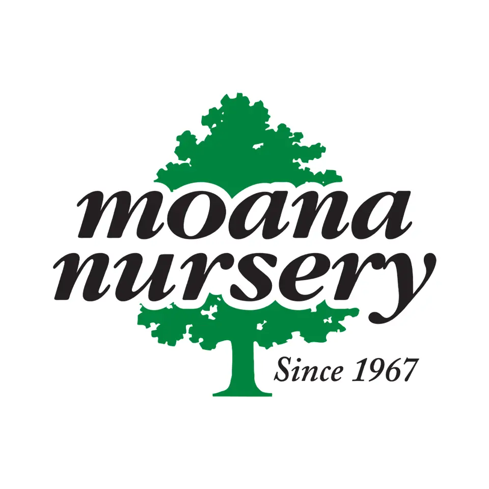 Company logo of Moana Nursery