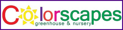 Company logo of Colorscapes Greenhouse & Nursery