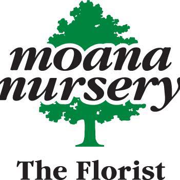 Company logo of The Florist at Moana Nursery